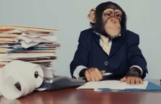 Good Business vs Educational Monkey&nbsp;Business